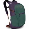 Backpacks * | Osprey Daylite Plus Backpack Axo Green/Enchantment Purple