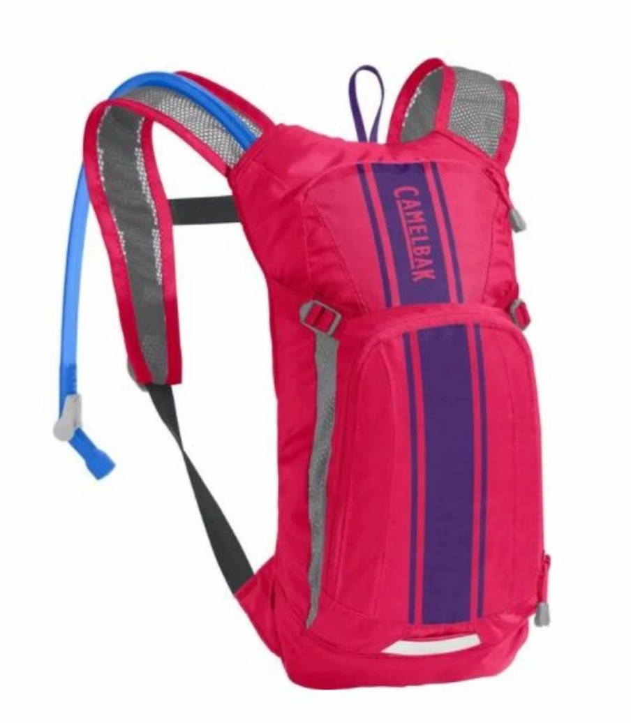 Backpacks * | Camelbak Kid'S Mini Mule 50Oz. Hydration Pack Hot Pink Purple Stripe