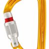 Rock And Snow * | Petzl Sm'D Screw-Lock Carabiner Yellow