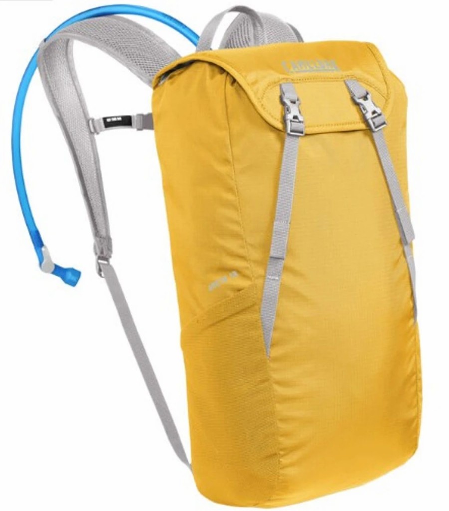 Backpacks * | Camelbak Arete 18 Hydration Pack Saffron/Silver