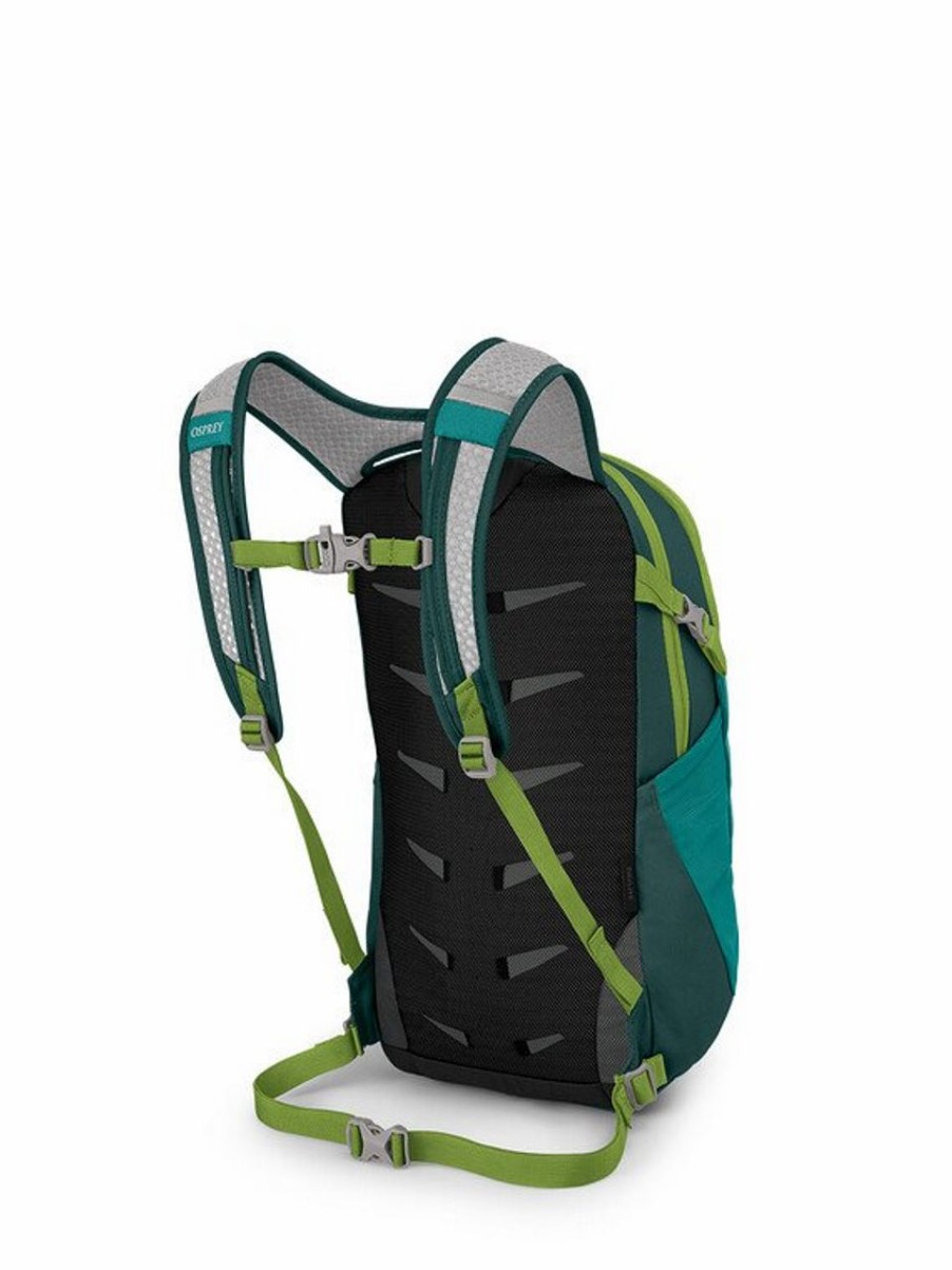 Backpacks * | Osprey Daylite Backpack Escapade Green Baikal Green