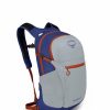 Backpacks * | Osprey Daylite Plus Backpack Silver Lining Blueberry