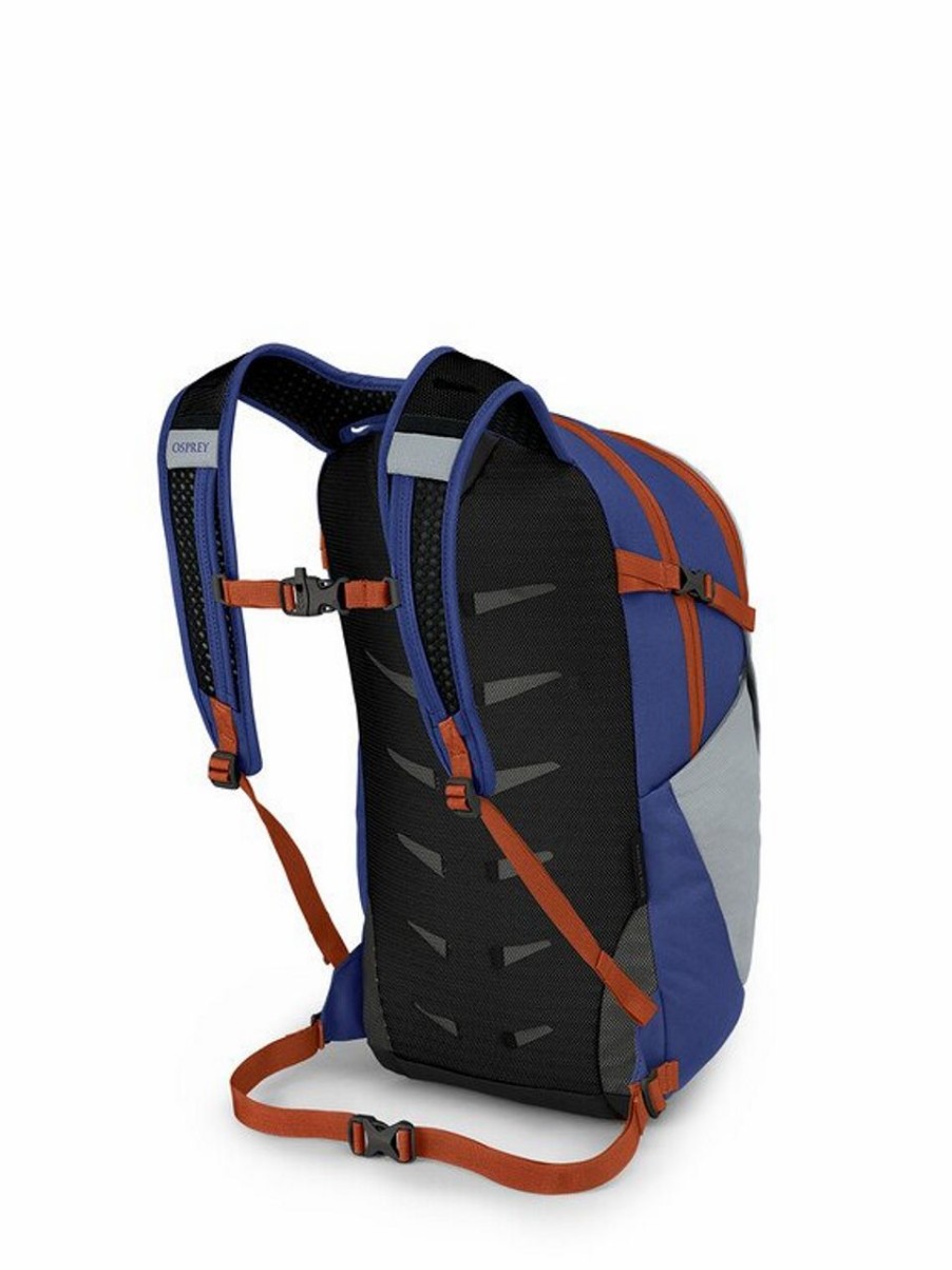 Backpacks * | Osprey Daylite Plus Backpack Silver Lining Blueberry