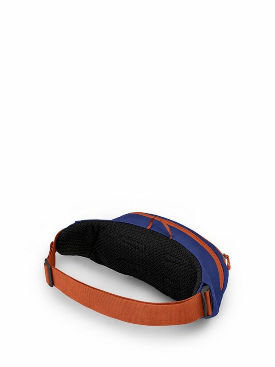 Backpacks * | Osprey Daylite Waist Pack Silver Lining/Blueberry