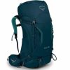 Backpacks * | Osprey Women'S Kyte 46 Small/Medium Backpack Icelake Green