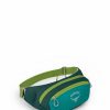 Backpacks * | Osprey Daylite Waist Pack Escapade Green/Baikal Green